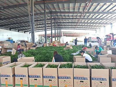 调结构 建市场 强组织——安顺市推进农村产业革命助力脱贫攻坚与乡村振兴侧记