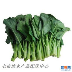 深圳蔬菜配送公司 宝安民治农产品销售的新鲜选择