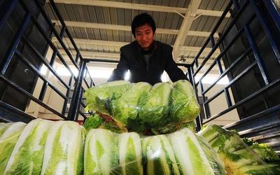 农产品拍卖时代渐行渐近，或成破解销售难题的关键起点