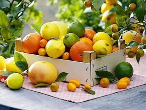 漫谈消费升级背景下的农产品品牌营销新趋势