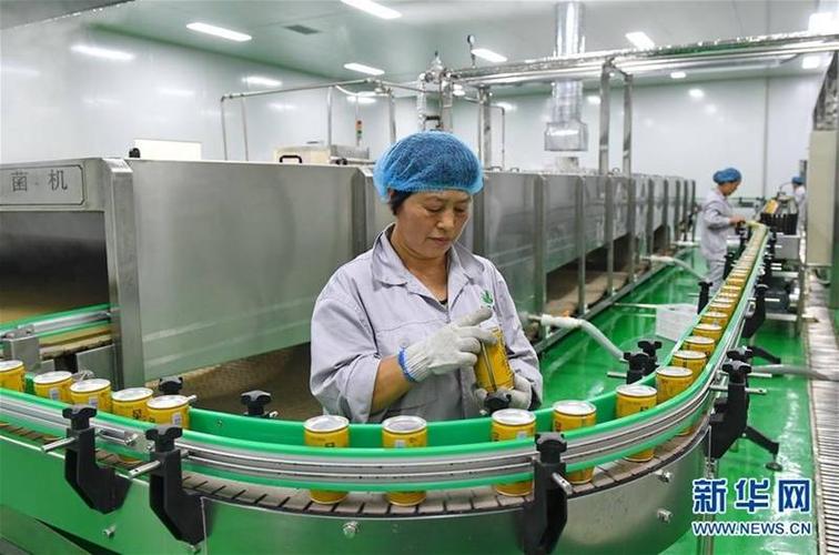 中国农科院2020年我国农产品加工业营业收入超过232万亿元