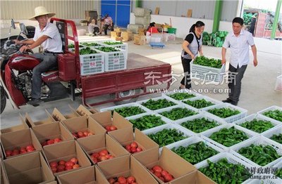 袋鼠农产品销售与咸阳学校食堂承包合同中的价格机制分析